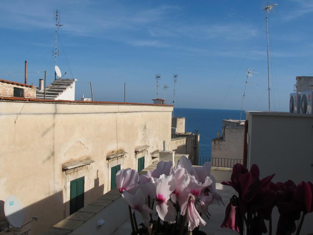 ジョヴィナッツォCasa Torre Di Mactheus Petraroアパートメント エクステリア 写真